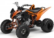 Yamaha YFM250R Yamaha YFM250R